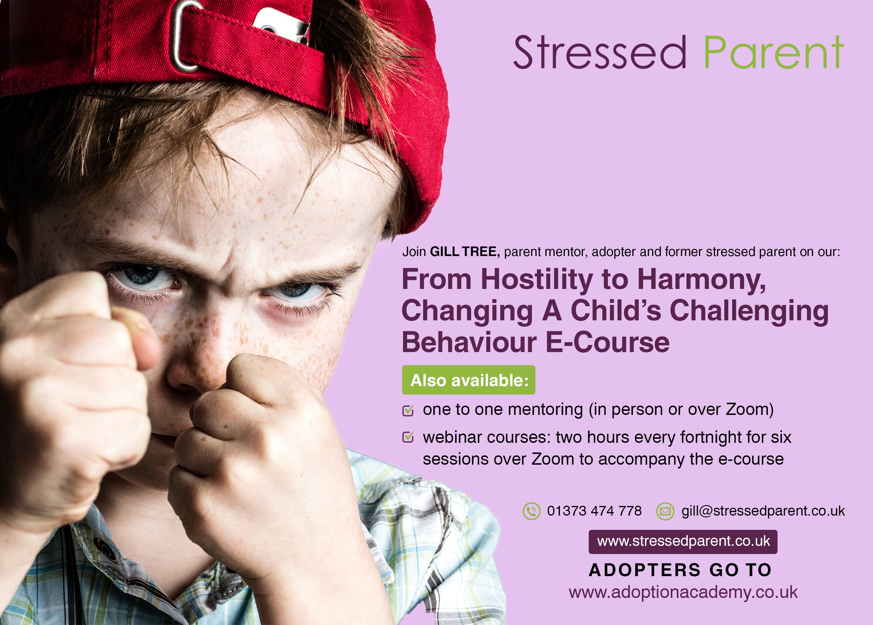 Advert-design-hostility to Harmony Stressed Parent